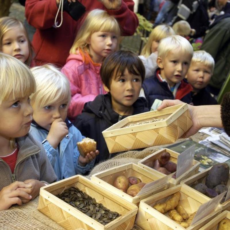 Diskusija "Maināmies uz augšu! Vai kvalitatīva agrīnā izglītība māca mūs visus domāt ilgtspējīgāk?"