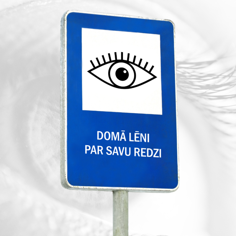 Intervija "DOMĀ LĒNI | PAR SAVU REDZI"