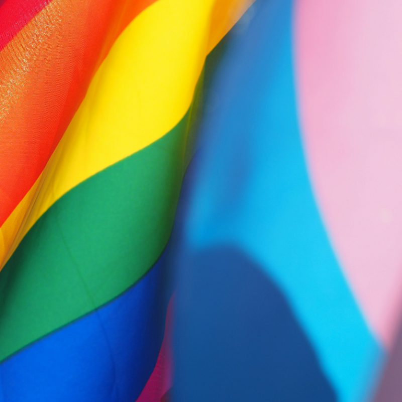 Saruna "Atpakaļ klusumā? LGBT+ kopiena pagātnē un nākotnē"