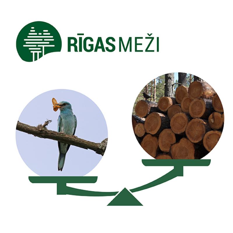 Diskusija “Mežā – nevis cērt un valdi, bet rūpējies un kop!”