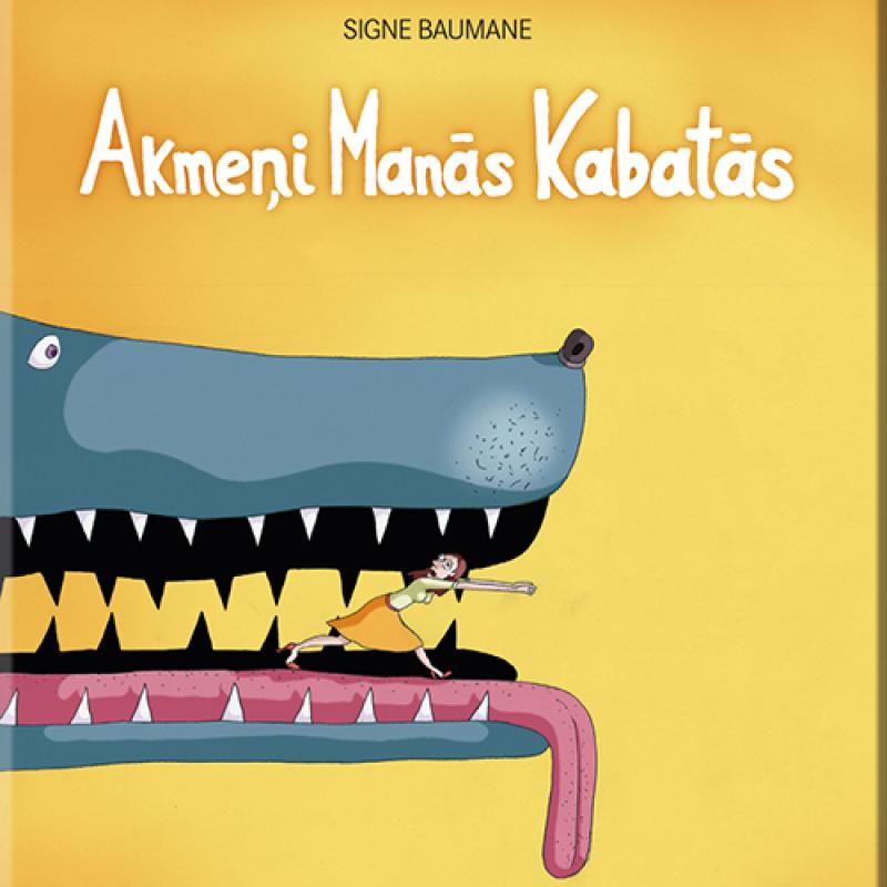 Signes Baumanes animācijas filma "Akmeņi manās kabatās"