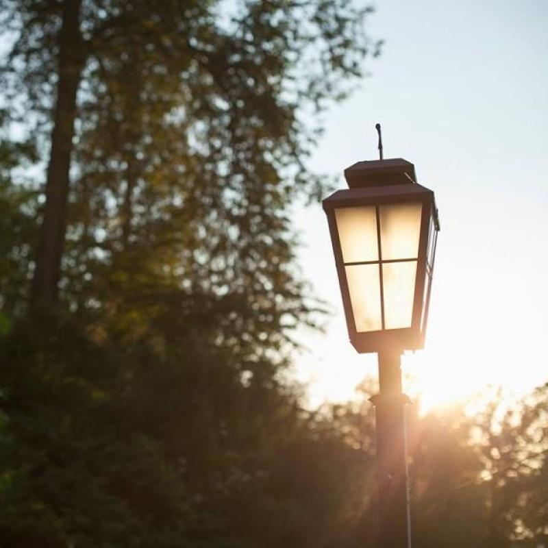Sāc sestdienas rītu ar LAMPU!