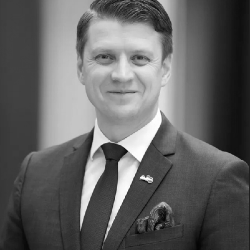 Lauris Vidzis