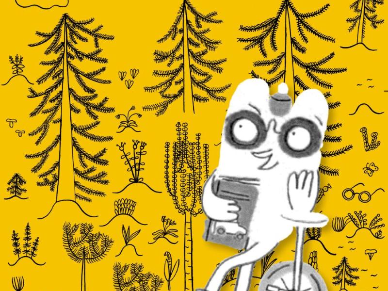 Diskusija "Vai grāmatas apdraud mežus?"