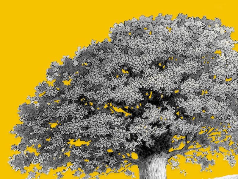 Saruna "Nācijas stūrakmeņi"