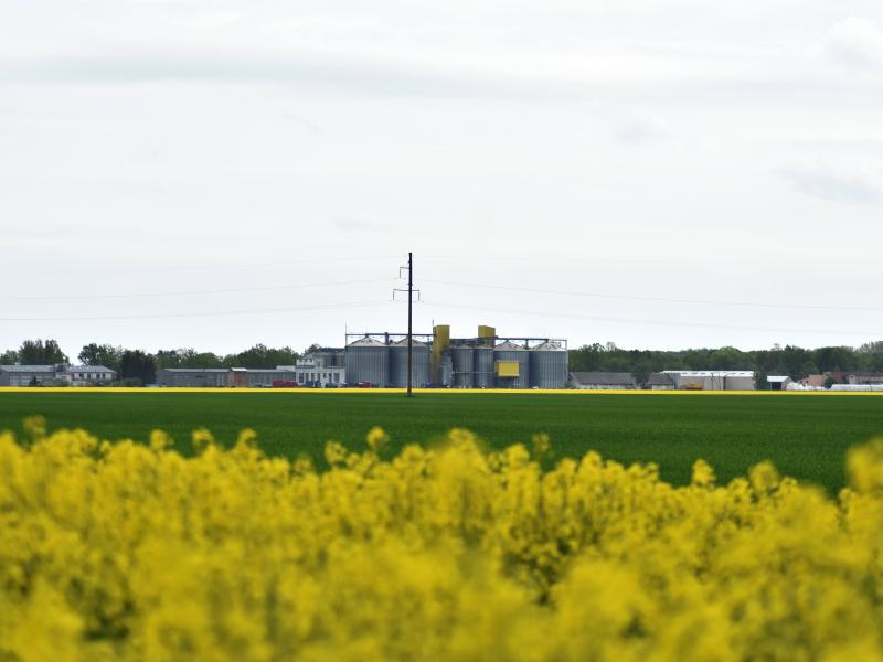 Diskusija "No pastalām uz traktoru - pārprastais zemnieks"