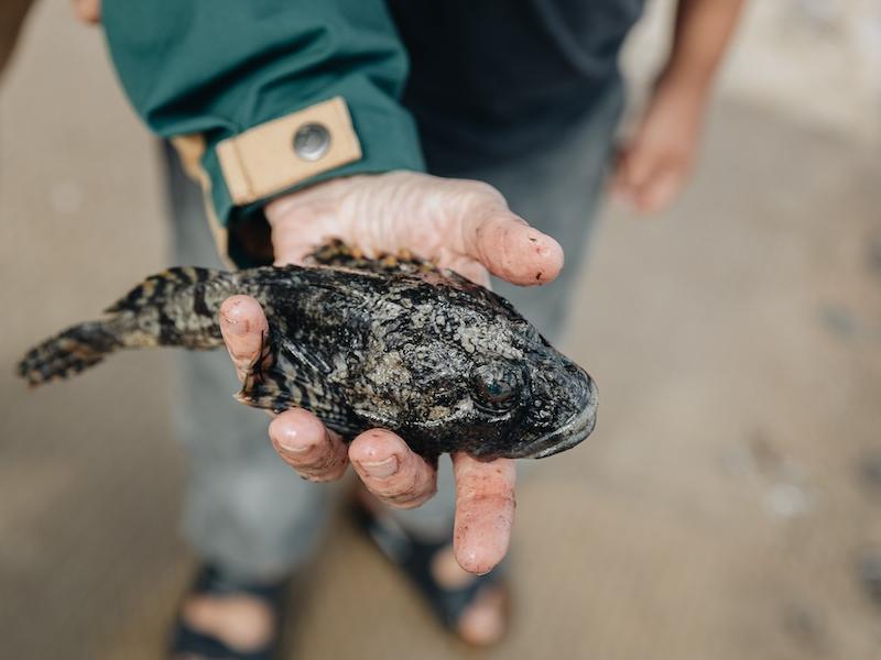 Diskusija “Kā Latvijas gaišākie prāti izglābs Baltijas jūru?”