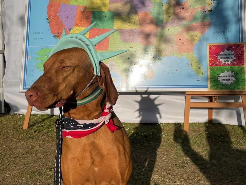 Telts #Kopāstiprāki: Veidojot sadarbību starp amerikāņiem un latviešiem