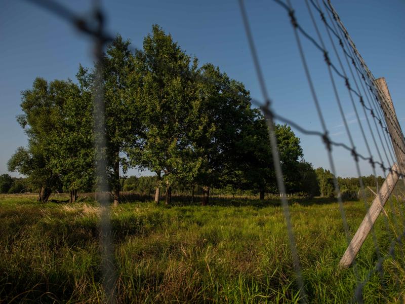 Diskusija "Vai dabas vajadzības ir ekonomikas vajadzības?"