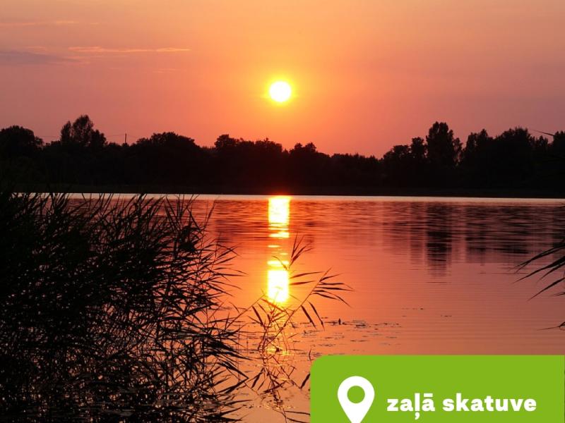 Diskusija “Daba ir skaista. Vai dabas estetizācija mākslā, reklāmā un populārajā kultūrā palīdz vai kaitē dabas aizsardzībai?”