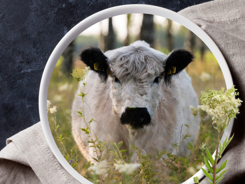 Saruna "Pļava, kas baro miesu, garu un dvēseli"