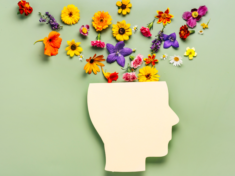 Saruna "Cilvēka veselības 3D(imensijas)"