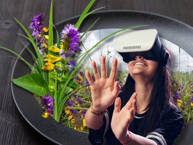 Aktivitāte "Nāc pļavā dabiskā!"