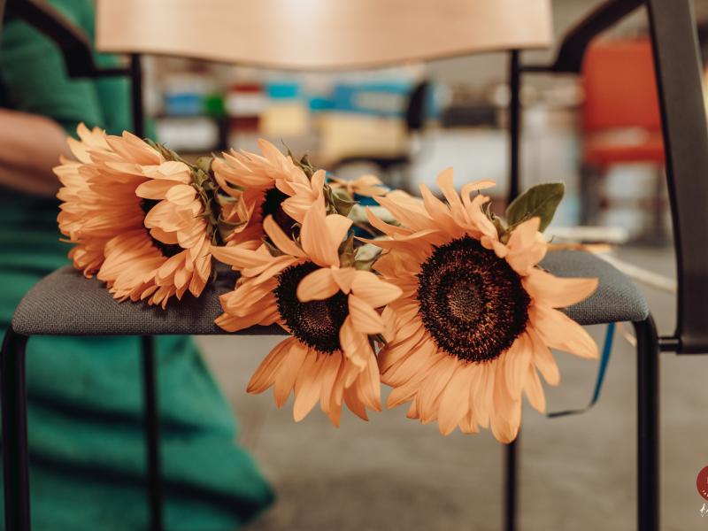 Diskusija "Labās enerģijas nezūdamības likums"