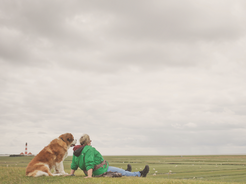Saruna "Par ko sapņo Latvijā?"