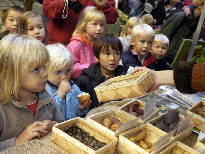 Diskusija "Maināmies uz augšu! Vai kvalitatīva agrīnā izglītība māca mūs visus domāt ilgtspējīgāk?"