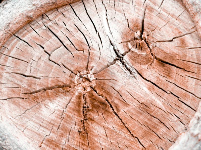 Diskusija "Vēstures beigas: Latvijas nākotne bez humanitārajām zinātnēm?"