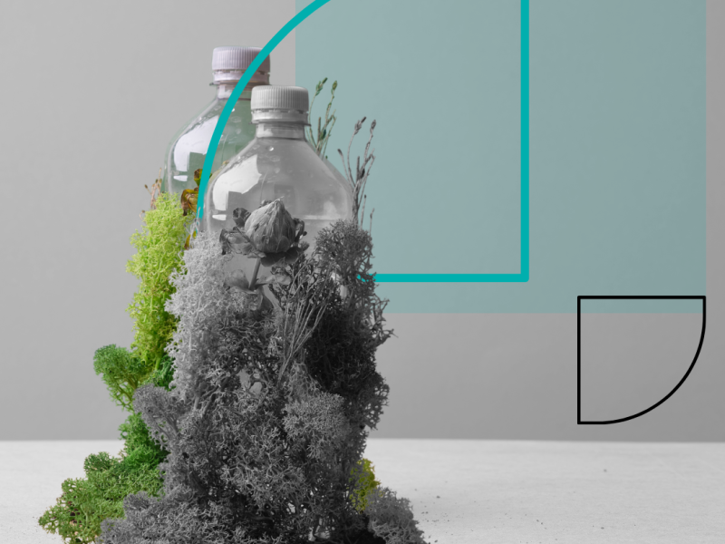 Pieredzes apmaiņa “Zaļš vairs nav tikai zaļš - kā vērtēt vides, sociālos un pārvaldības ilgtspējas principus?”