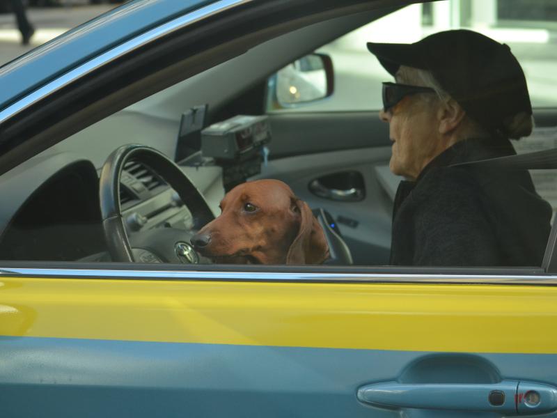 Diskusija "Lēnāk brauc tikai ņergas, ātrāk tikai trakie!"