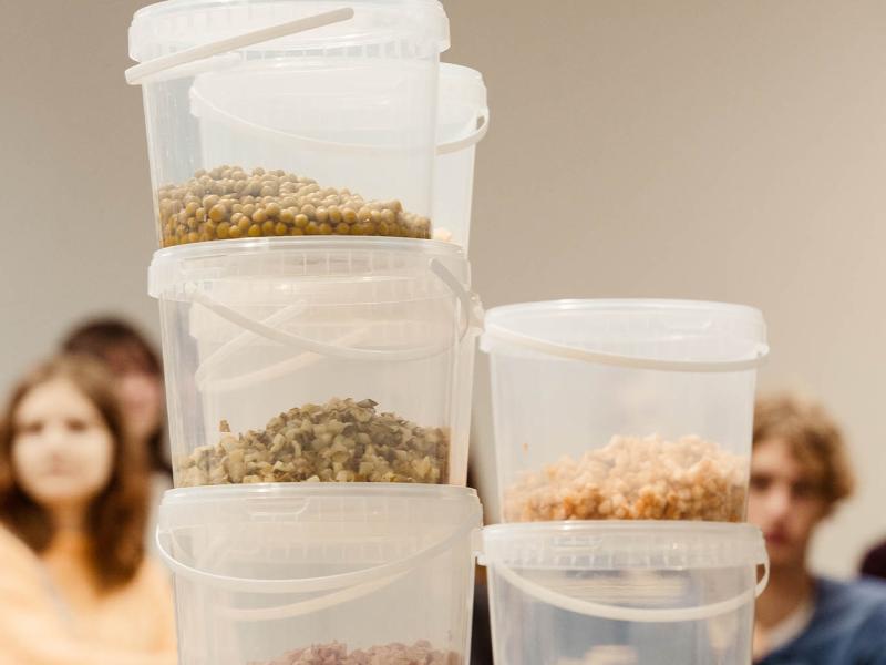 Politiskā rasola izrāde "Vēlēšanās"