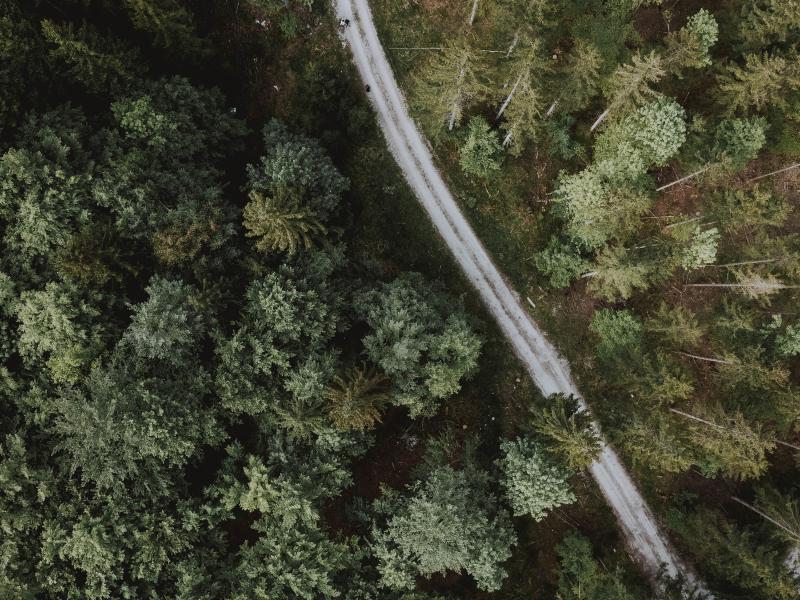 Diskusija "Valsts kapitāls kā stūrakmens ekonomikas izrāvienam vai  bieds konkurencei"