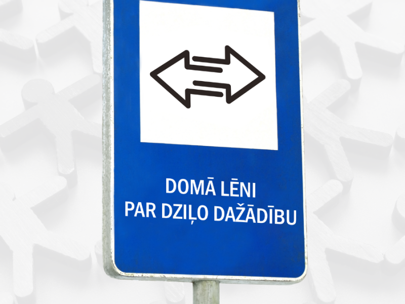Intervija "DOMĀ LĒNI | PAR DZIĻO DAŽĀDĪBU"
