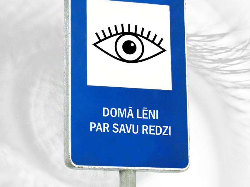 Intervija "DOMĀ LĒNI | PAR SAVU REDZI"