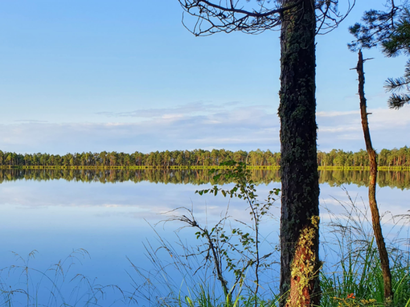 Diskusija "Ezeri un upes šodien un vecvecāku atmiņās"