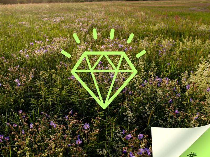 Diskusija "Bagātā pļava – dabas dārgumu lāde un mūsu nākotnes pamats"