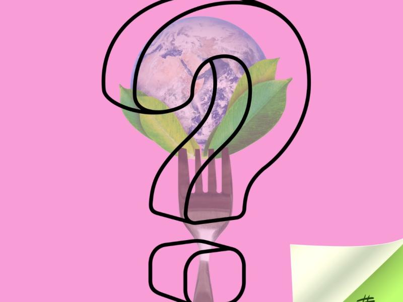 Aktivitāte "Vai var sagaršot ilgtspēju?"