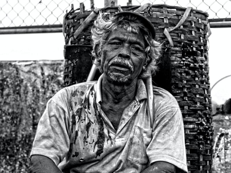 Saruna "Ražots trešajās valstīs, patērēts Eiropā. Modernā verdzība, klimata pārmaiņu upuri un izcirstie mūžameži?"