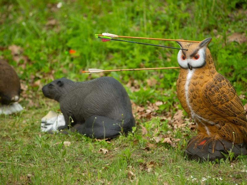 Diskusija “No cik gadiem bērni var šaut?”