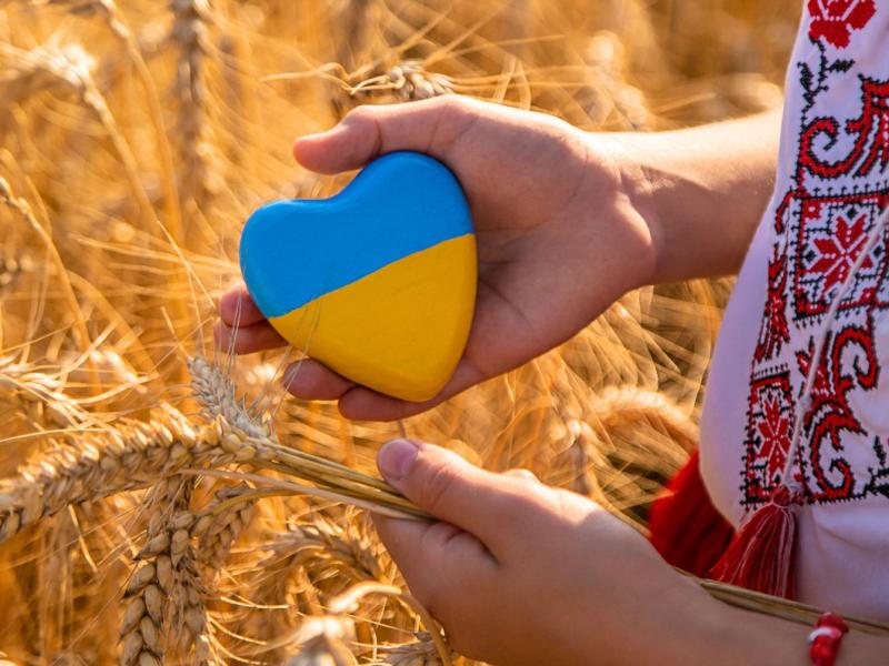 Diskusija "No vienaldzības līdz rīcībai: Latvija krievijas - Ukrainas karā"