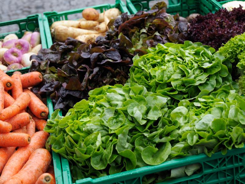 Diskusija "Jaunieši – lauksaimniecības nākotnes veidotāji?"