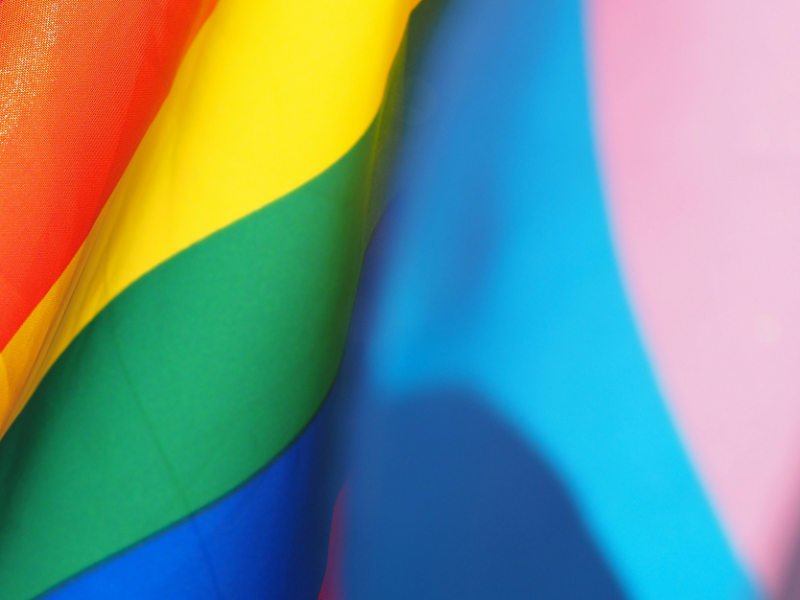 Saruna "Atpakaļ klusumā? LGBT+ kopiena pagātnē un nākotnē"