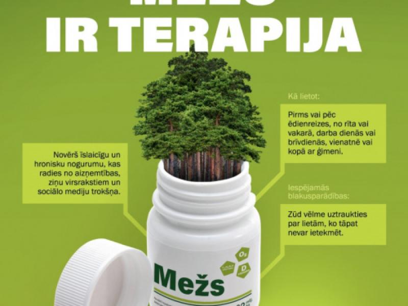 Sajūtu piedzīvojums "Mežs ir terapija"