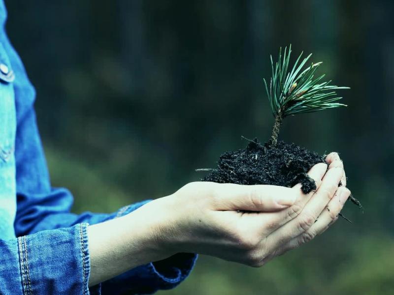 Diskusija "Cieņa pret dabu #BetterFuture"