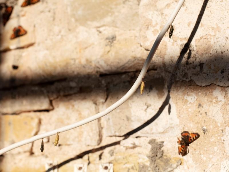 Diskusija "Cilvēka un vides attiecību formas"