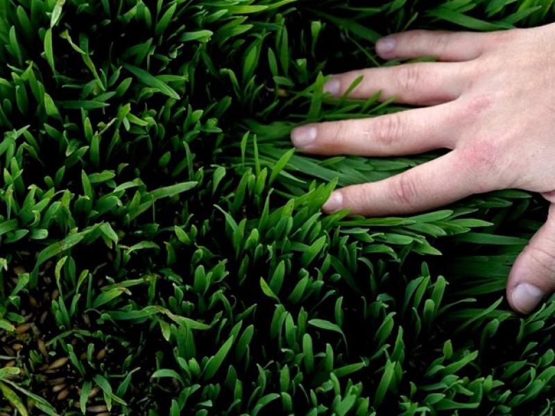 Diskusija "Cieņpilna vides plānošana"