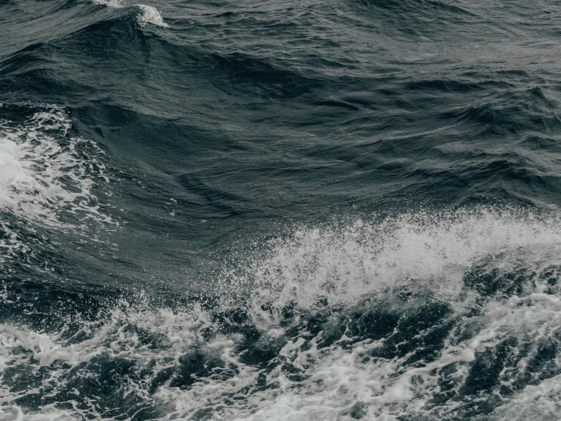 Diskusija “Kā mani paradumi ietekmē Baltijas jūru”?