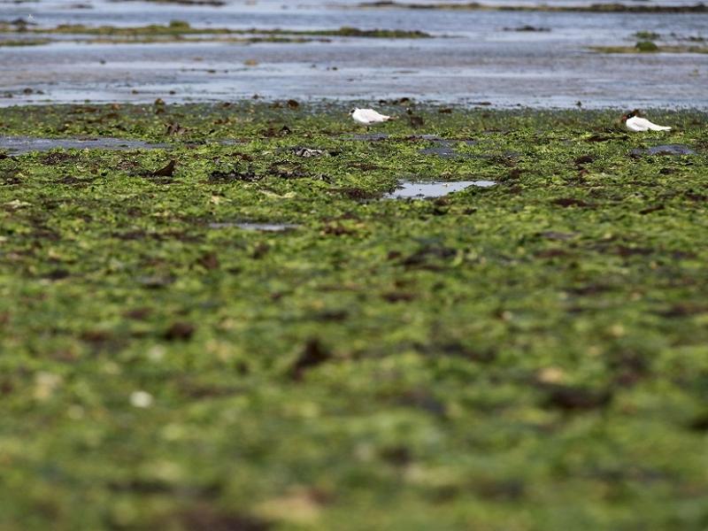 Vakara saruna “Vai kultūra var glābt Baltijas jūru?”