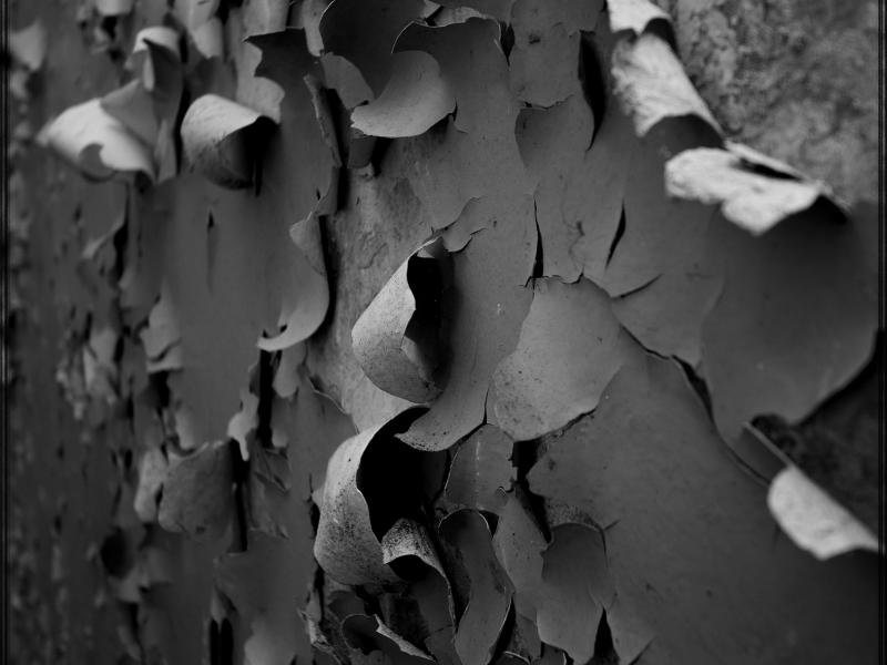 Saruna "Totalitārisma mantojums un politiskās nācijas veidošanās Latvijā"