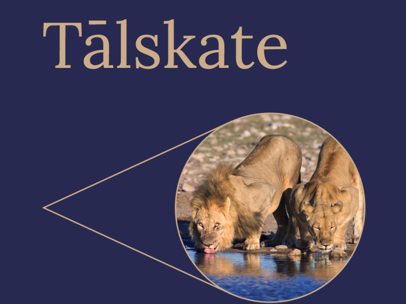 Diskusija "Finanses un tehnoloģijas: laimīga laulība vai attiecību drāma?"