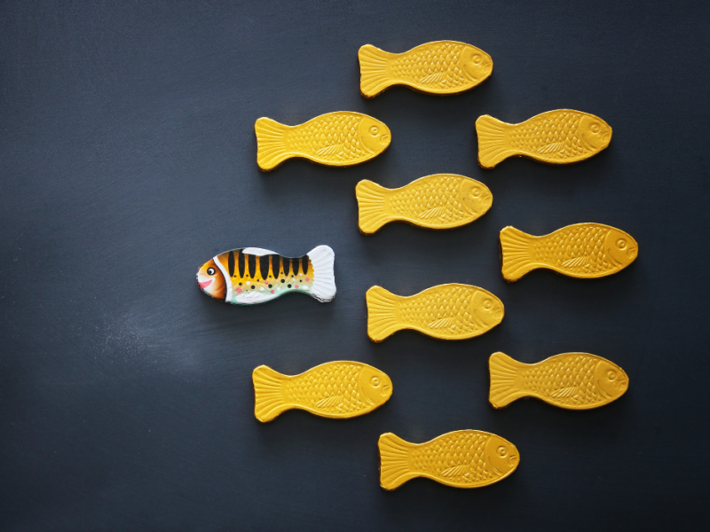 Atklāta saruna "Kāpēc no atšķirīgā ir tik bail, ka varam kļūt nežēlīgi?”