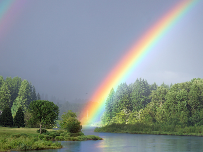 Saruna "Kā būt daļai no LGBTQIA+ kopienas reģionos?"