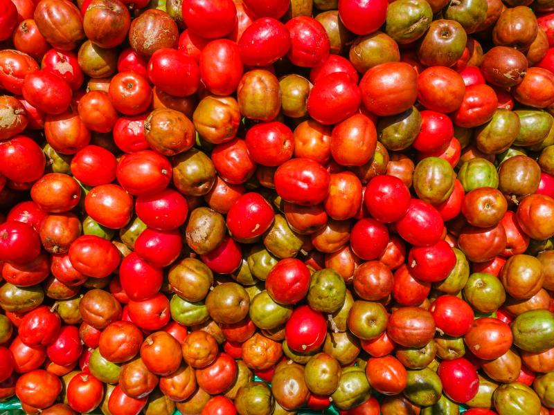 Diskusija "Kāda ir nākotne veikalu plauktos?”