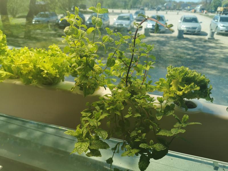 Saruna "Laikmetīgā māksla un ekoloģija"