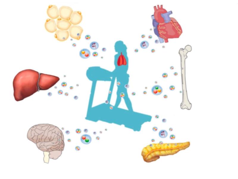 Saruna "Veselība 10 000 soļos - vai tomēr nē?"