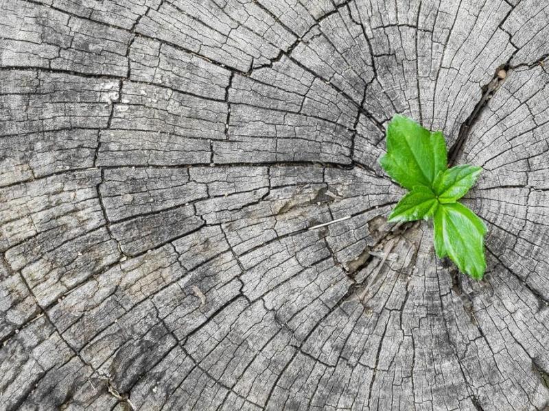 Darbnīca "Ieradumu maiņa dzīves kvalitātes paaugstināšanai"