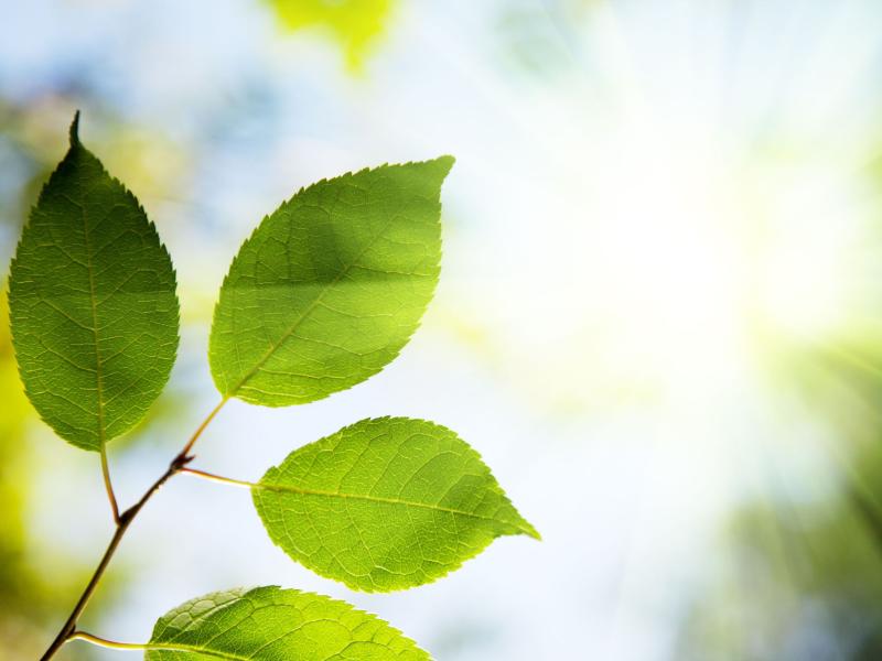 Diskusija "ESG līkloči - kā tos izprast un neiekrist "zaļmuldēšanā""